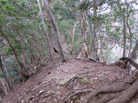 20200204hike (247)